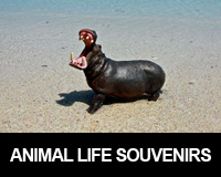 animal life souvenirs